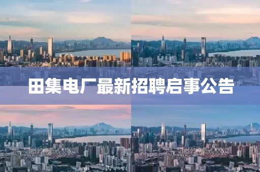 田集电厂最新招聘启事公告