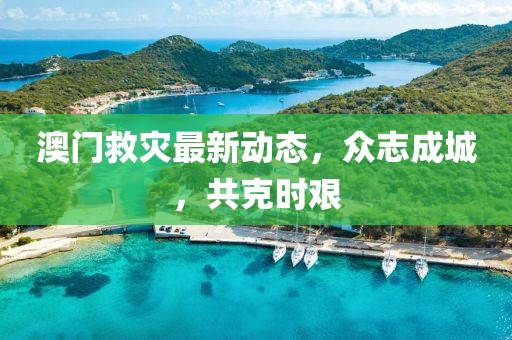 澳门救灾最新动态，众志成城，共克时艰