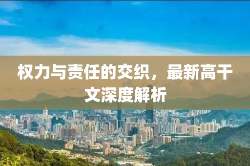 权力与责任的交织，最新高干文深度解析