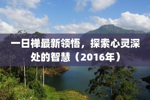 一日禅最新领悟，探索心灵深处的智慧（2016年）