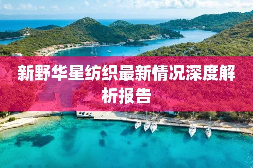 新野华星纺织最新情况深度解析报告