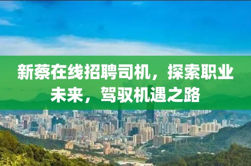 新蔡在线招聘司机，探索职业未来，驾驭机遇之路