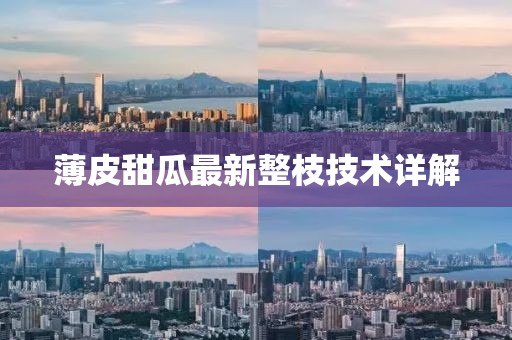 薄皮甜瓜最新整枝技术详解