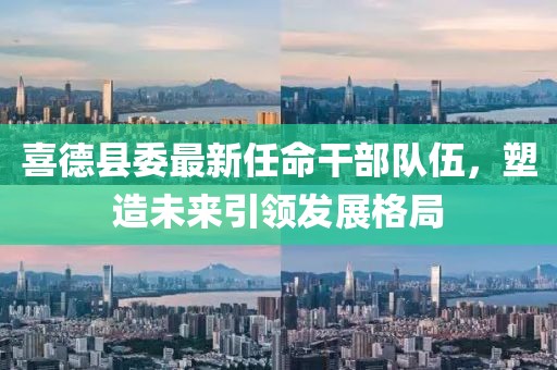 喜德县委最新任命干部队伍，塑造未来引领发展格局
