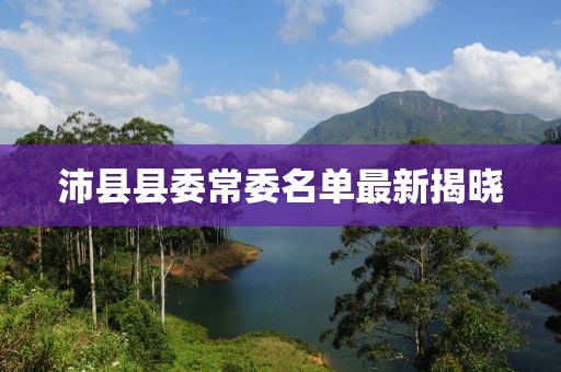 沛县县委常委名单最新揭晓
