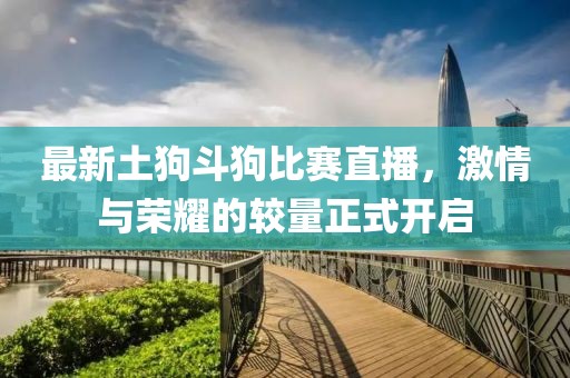 最新土狗斗狗比赛直播，激情与荣耀的较量正式开启