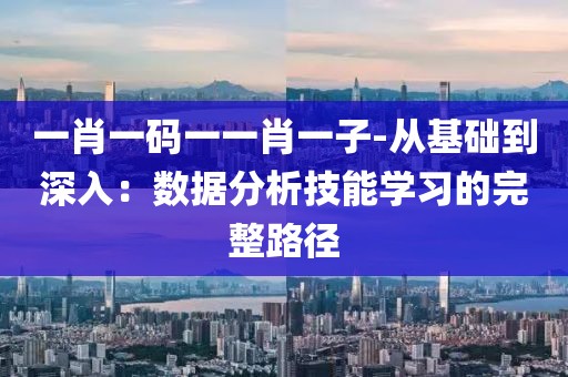 一肖一码一一肖一子-从基础到深入：数据分析技能学习的完整路径