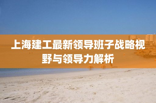 上海建工最新领导班子战略视野与领导力解析