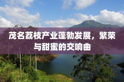 茂名荔枝产业蓬勃发展，繁荣与甜蜜的交响曲