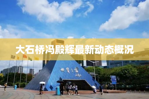 大石桥冯殿辉最新动态概况