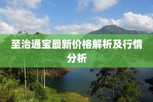 至治通宝最新价格解析及行情分析