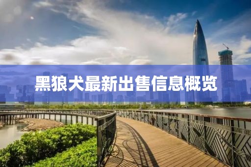 小兔叽 第24页