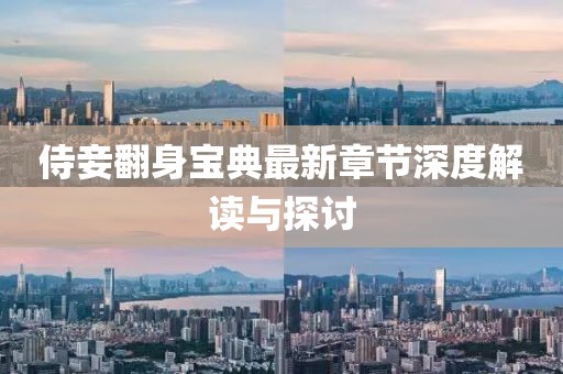 侍妾翻身宝典最新章节深度解读与探讨