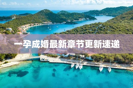 一孕成婚最新章节更新速递