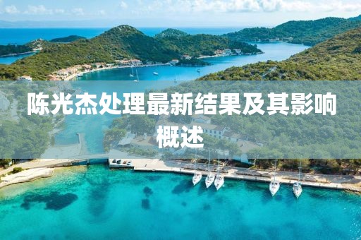 陈光杰处理最新结果及其影响概述