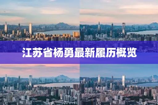 江苏省杨勇最新履历概览