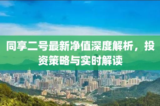 同享二号最新净值深度解析，投资策略与实时解读