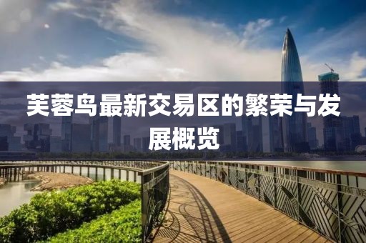 芙蓉鸟最新交易区的繁荣与发展概览