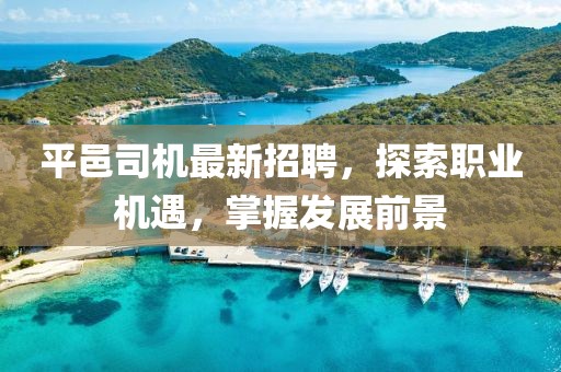 平邑司机最新招聘，探索职业机遇，掌握发展前景