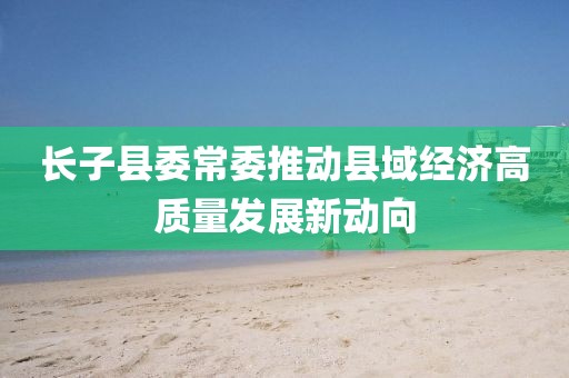 长子县委常委推动县域经济高质量发展新动向