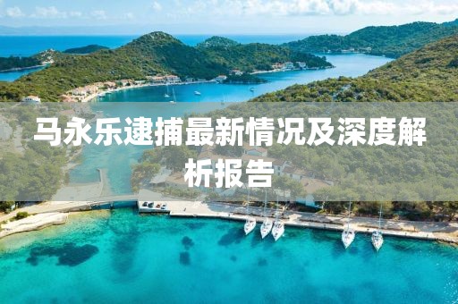 马永乐逮捕最新情况及深度解析报告
