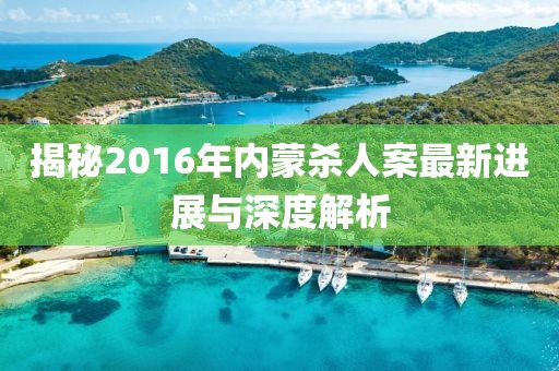 揭秘2016年内蒙杀人案最新进展与深度解析