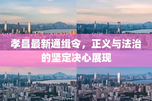 孝昌最新通缉令，正义与法治的坚定决心展现