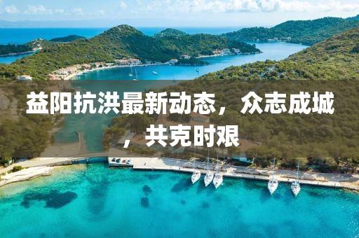 益阳抗洪最新动态，众志成城，共克时艰