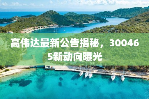 高伟达最新公告揭秘，300465新动向曝光