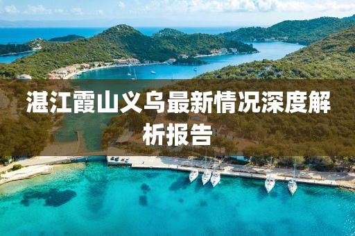 湛江霞山义乌最新情况深度解析报告