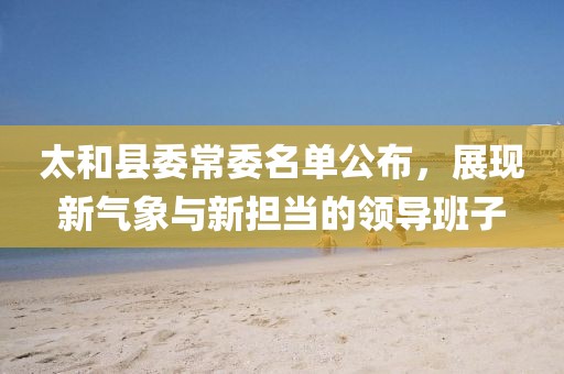 太和县委常委名单公布，展现新气象与新担当的领导班子