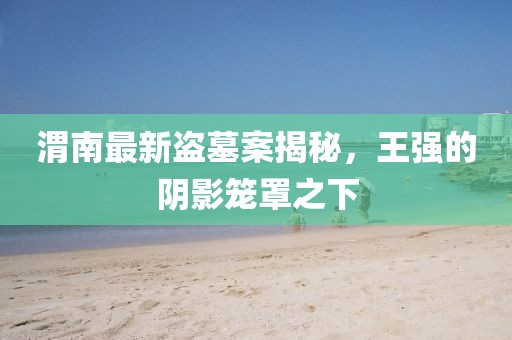 渭南最新盗墓案揭秘，王强的阴影笼罩之下