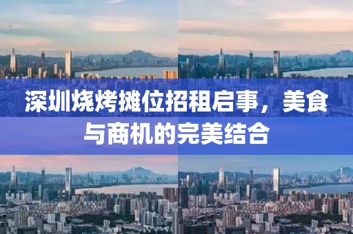 深圳烧烤摊位招租启事，美食与商机的完美结合