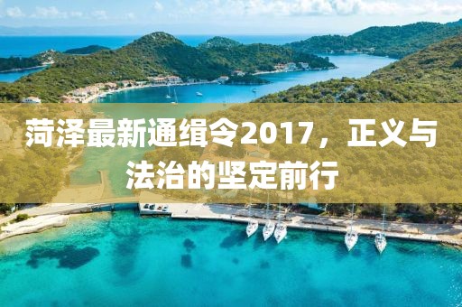 菏泽最新通缉令2017，正义与法治的坚定前行