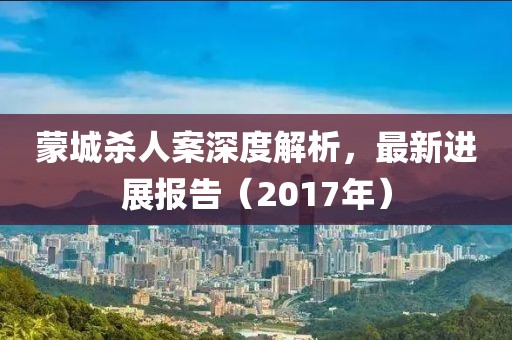 蒙城杀人案深度解析，最新进展报告（2017年）