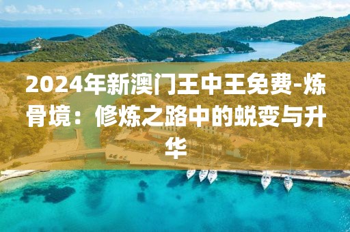2024年新澳门王中王免费-炼骨境：修炼之路中的蜕变与升华