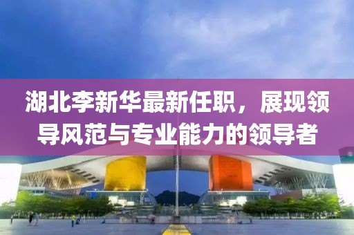 湖北李新华最新任职，展现领导风范与专业能力的领导者