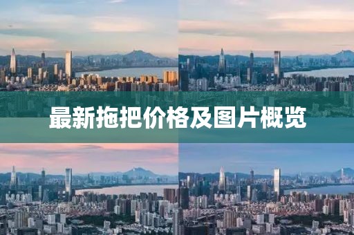 最新拖把价格及图片概览