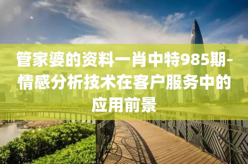 管家婆的资料一肖中特985期-情感分析技术在客户服务中的应用前景