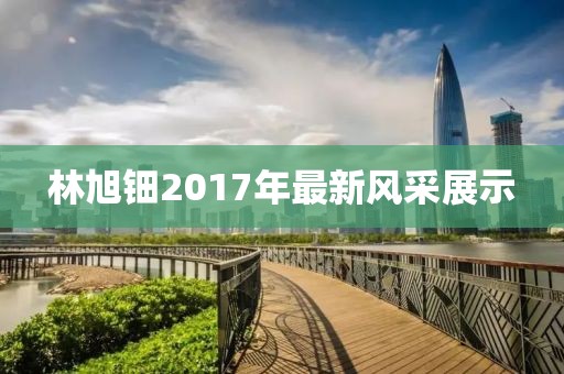 林旭钿2017年最新风采展示