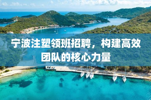 宁波注塑领班招聘，构建高效团队的核心力量