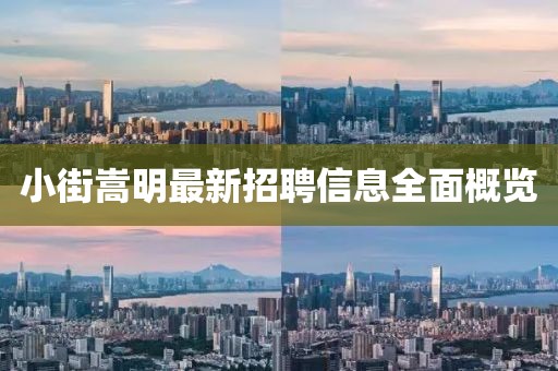 小街嵩明最新招聘信息全面概览