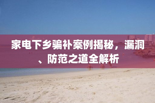 家电下乡骗补案例揭秘，漏洞、防范之道全解析