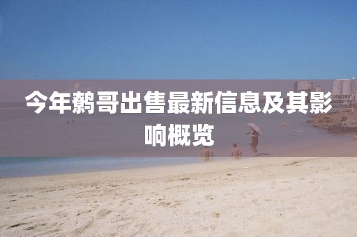 今年鹩哥出售最新信息及其影响概览