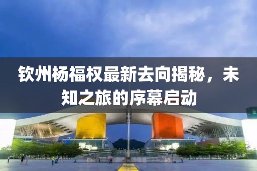 钦州杨福权最新去向揭秘，未知之旅的序幕启动