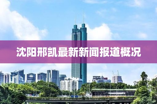 沈阳邢凯最新新闻报道概况