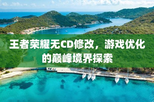 王者荣耀无CD修改，游戏优化的巅峰境界探索