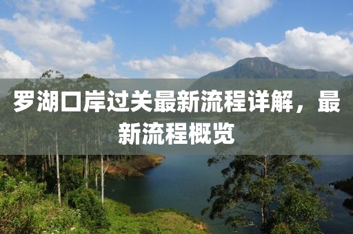罗湖口岸过关最新流程详解，最新流程概览
