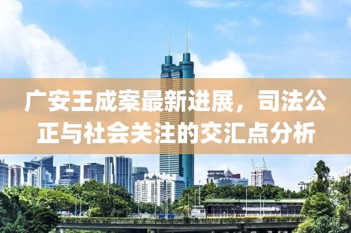 广安王成案最新进展，司法公正与社会关注的交汇点分析