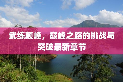 武练颠峰，巅峰之路的挑战与突破最新章节